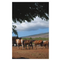 Horses In Paradise Stationery Paper