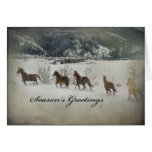 Horses In Snow Cards