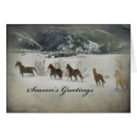 Horses In Snow Cards