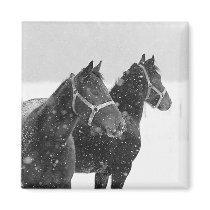 Horses in Snowfall magnets