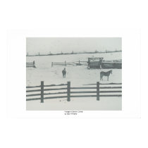 Horses in Snowy Corral posters by daysrays Horses in Snowy Corral posters
