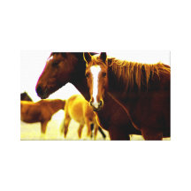 Horses in the Hills Canvas Print