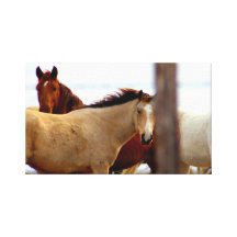 Horses in the Hills Gallery Wrapped Canvas