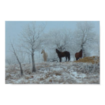 Horses in the Mist posters