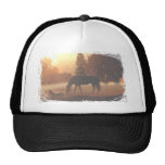 Horses in the Morning Fog Mesh Hats