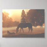 Horses in the Morning Fog Print