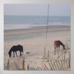 Horses in the Sand Print