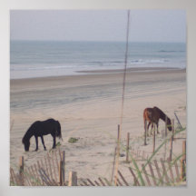 Horses in the Sand Print