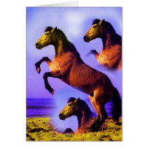 HORSES IN THE SANDS OF TIME cards