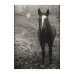 Horses in the Snow canvas prints
