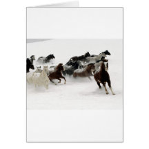 Horses in the snow greeting cards
