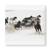 Horses in the snow refrigerator magnets