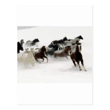 Horses in the snow postcard