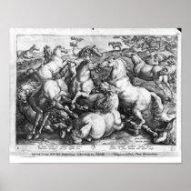 Horses in the wild posters