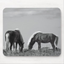 Horses in Whale-fjord #2 mousepads