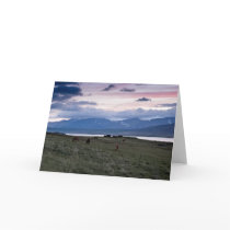 Horses in Whale-fjord #3 cards