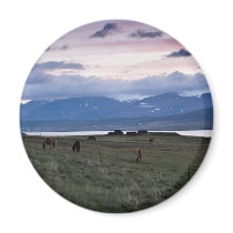 Horses in Whale-fjord #3 magnets
