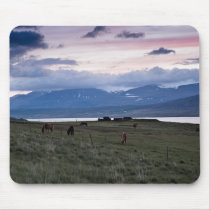 Horses in Whale-fjord #3 mousepads