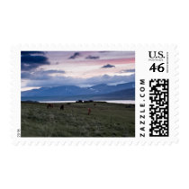 Horses in Whale-fjord #3 stamps