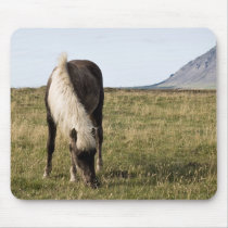 Horses in Whale-fjord mousepads