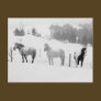 Horses In Winter