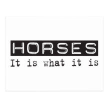 Horses It Is Post Card