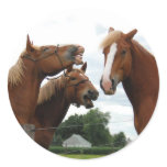 horses laughing 1 stickers