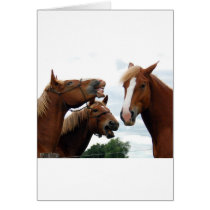 Horses laughing cards