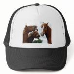 Horses laughing mesh hat