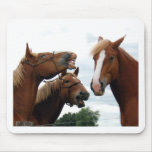 Horses laughing mousepads
