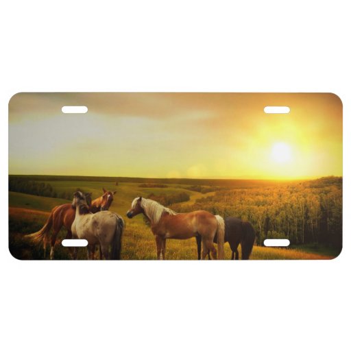 Horses License Plate Zazzle