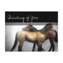 Horses Love Friendship Postcard - Thinking of You postcards