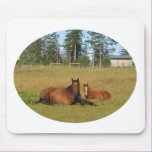 Horses: Mama and Baby Horse Lying Down mousepads