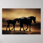 Horses mom and I Posters