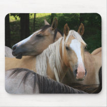 Horses mouse pad mousepads