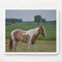 Horses mousepads