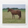 Horses Mousepads