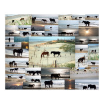 Horses of Carova posters by Butterfly2008 Horses of Carova posters