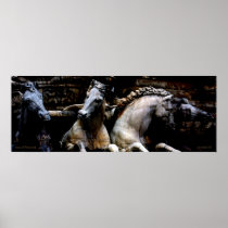 Horses of Florence II Poster posters