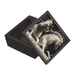 Horses of Florence Italy premium gift boxes