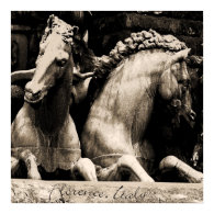 Horses of Florence Print print
