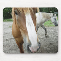 Horses of Ocala Florida Equestrian Art Mousepad by ScenicEarthStudios Horses of Ocala Florida Equestrian Art Mousepad