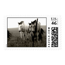 Horses of the Flint Hills Stamp