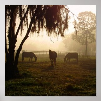 Horses on a Misty Morning in Pasture Print