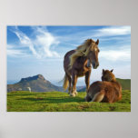 Horses on Bianditz mountain in Navarre Spain posters