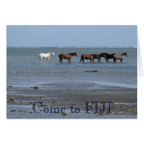 Horses on the Beach in Fiji Card by Angels_Love_Gifts Horses on the Beach in Fiji Card