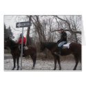 horses-on-the-LIE cards