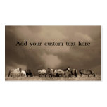 Horses on the Prairie Business Cards