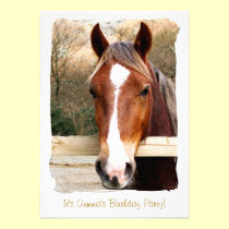 HORSES invitations