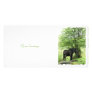 HORSES CUSTOM PHOTO CARD